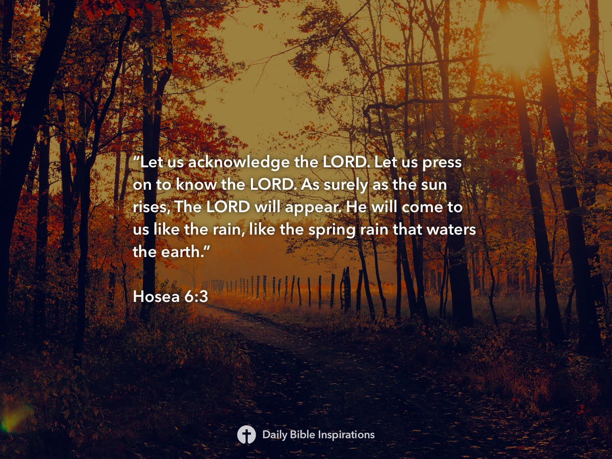 Hosea 63 Daily Bible Inspirations