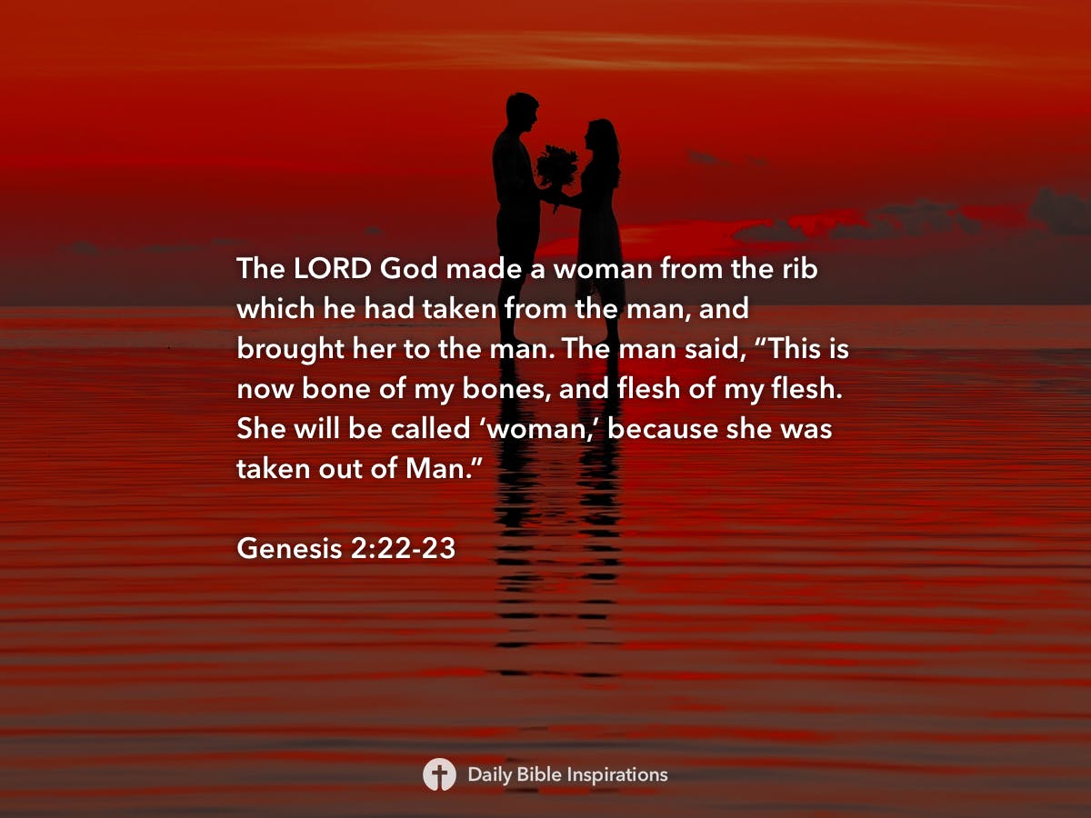 Genesis 2 22 23 Daily Bible Inspirations