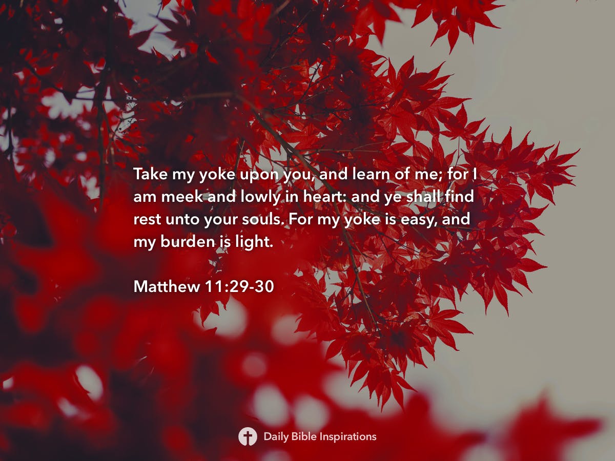 matthew-11-29-30-daily-bible-inspirations