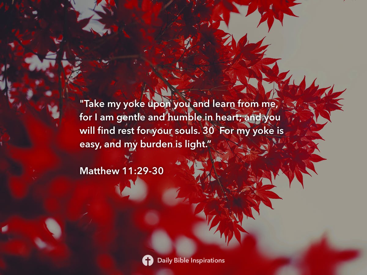 matthew-11-29-30-daily-bible-inspirations