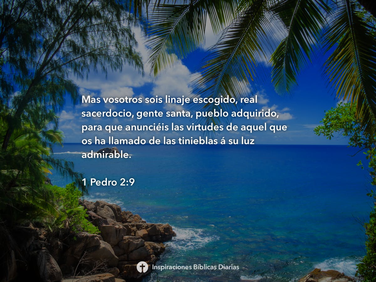 1-pedro-2-17-biblia