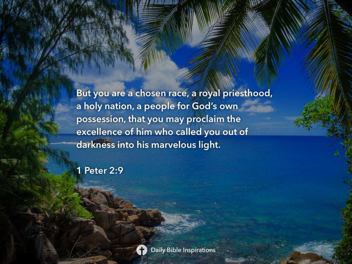 1-peter-2-9-daily-bible-inspirations