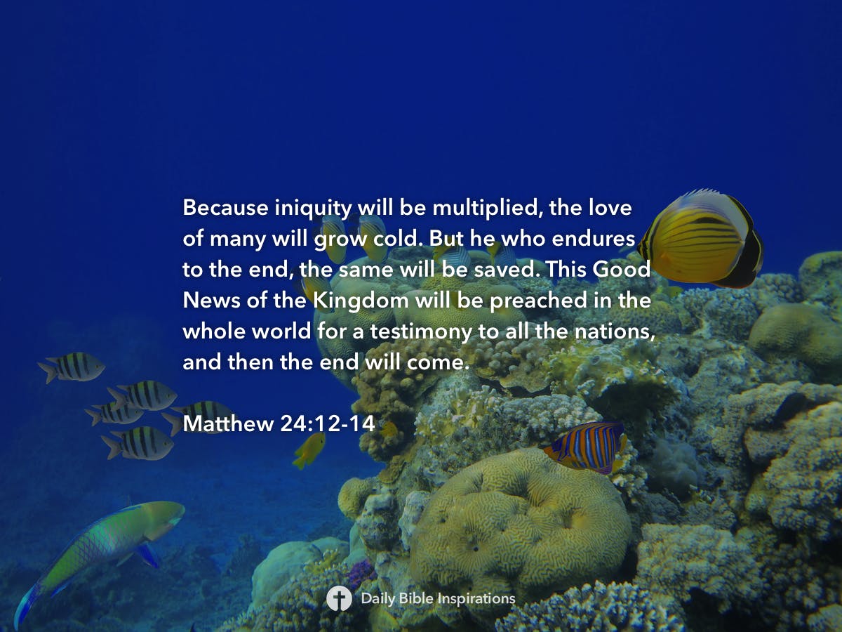 matthew-24-12-14-daily-bible-inspirations