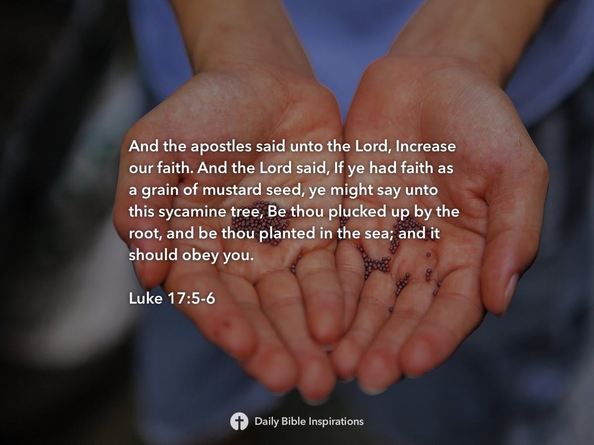 Luke 17:5-6 - Daily Bible Inspirations