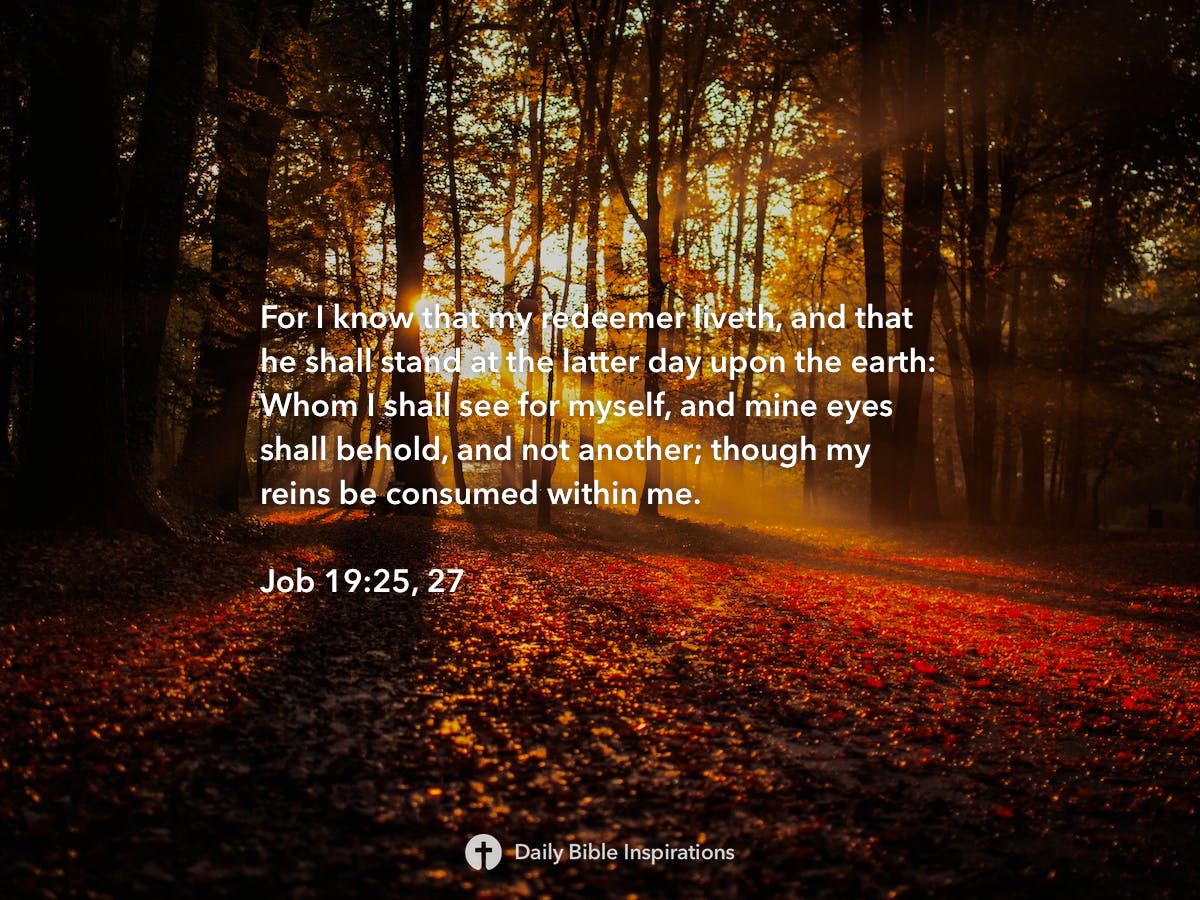 job-19-25-27-daily-bible-inspirations
