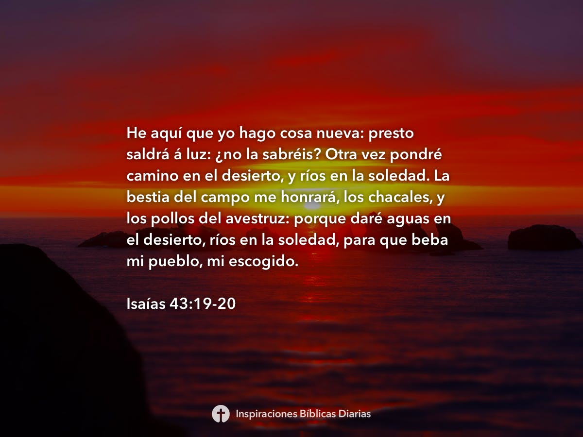 isa-as-43-19-20-inspiraciones-b-blicas-diarias