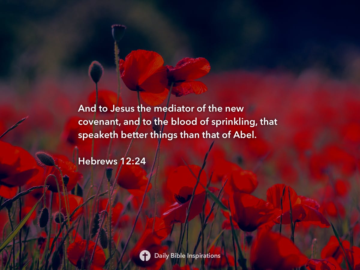 Hebrews 12:24 | Daily Bible Inspirations