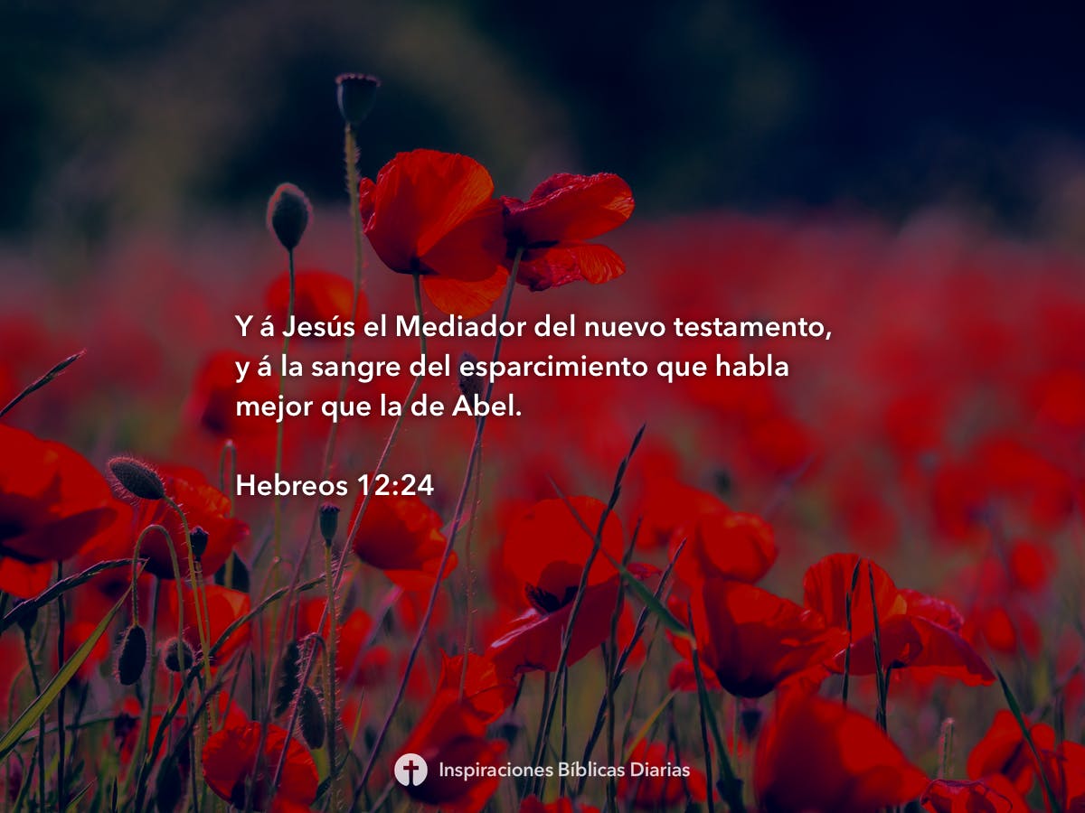 Hebreos 12:24 | Inspiraciones Bíblicas Diarias