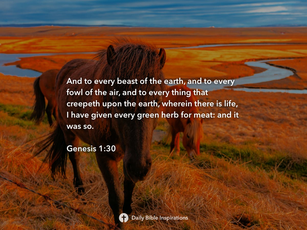 Genesis 1:30 - Daily Bible Inspirations