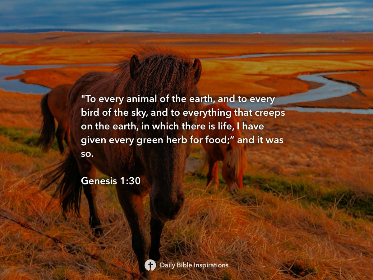 genesis-1-30-daily-bible-inspirations