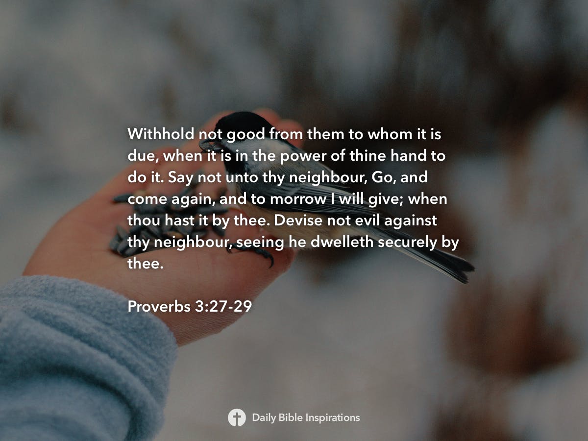 les-feldick-bible-study-daily-online-video-bible-study-daily-bible