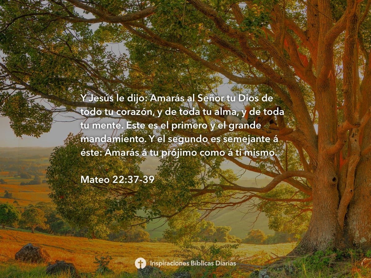mateo-22-37-39-inspiraciones-b-blicas-diarias