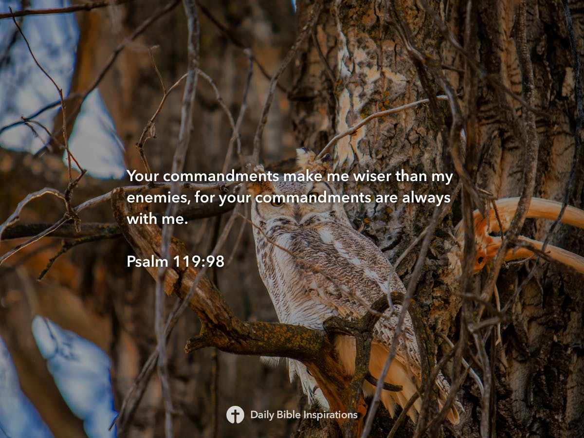 Psalm 119 98 Daily Bible Inspirations