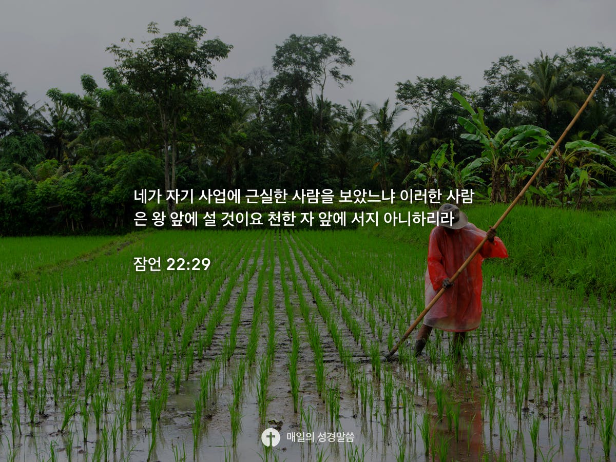 22-29-daily-bible-inspirations