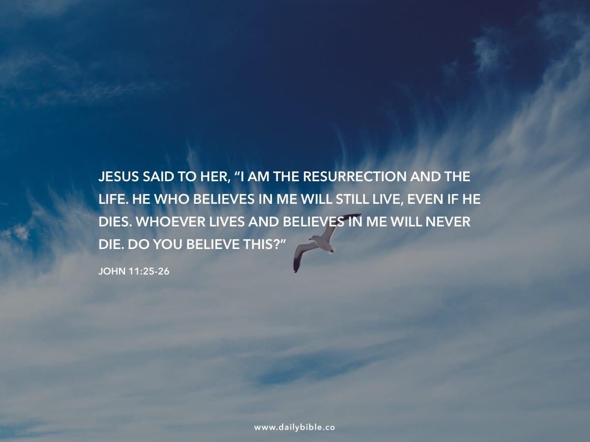 John 11:25-26 - Daily Bible Inspirations