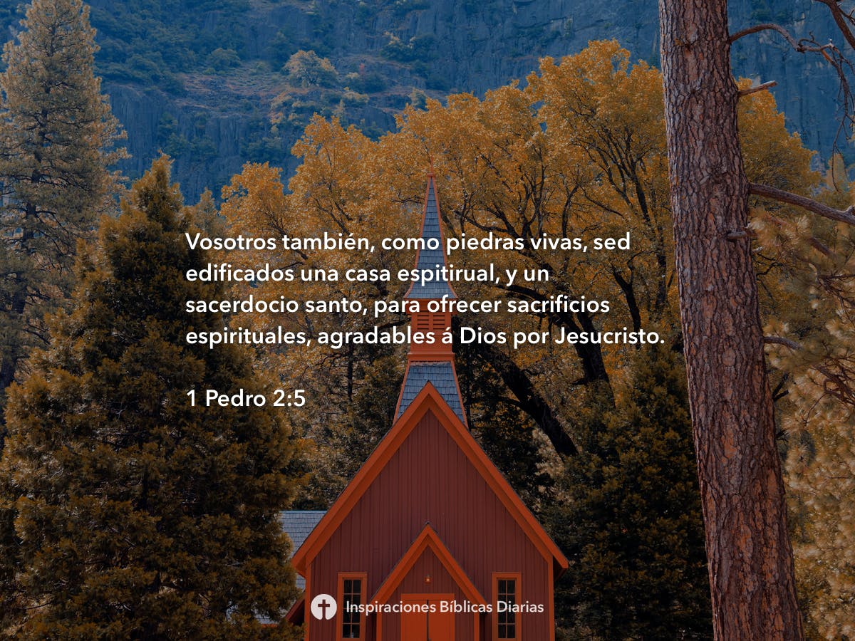 1-pedro-2-5-inspiraciones-b-blicas-diarias