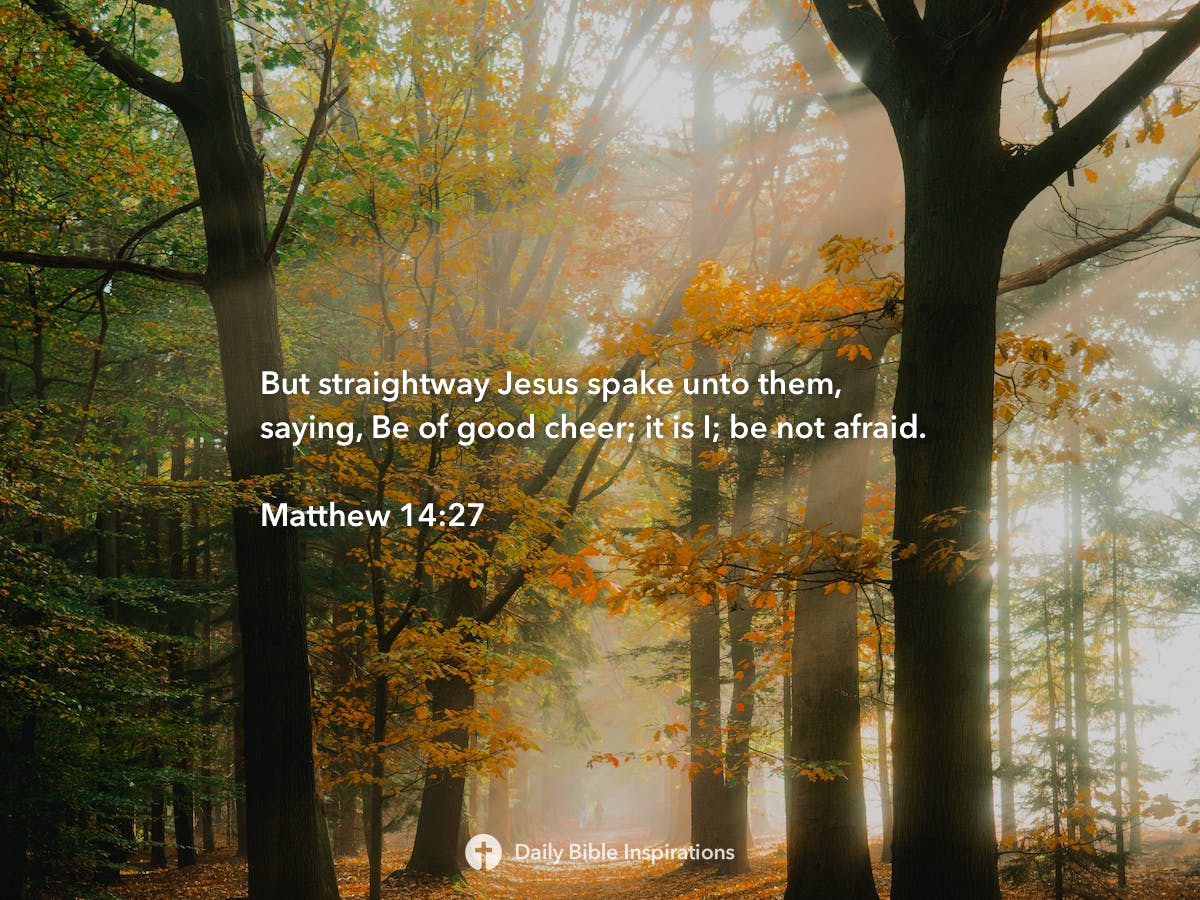 matthew-14-27-daily-bible-inspirations