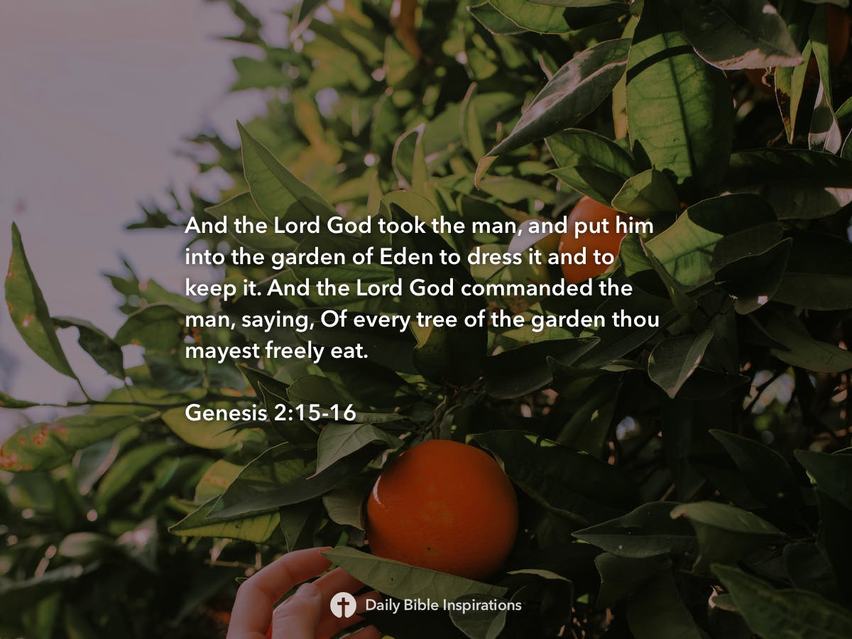 Genesis 21516 Daily Bible Inspirations