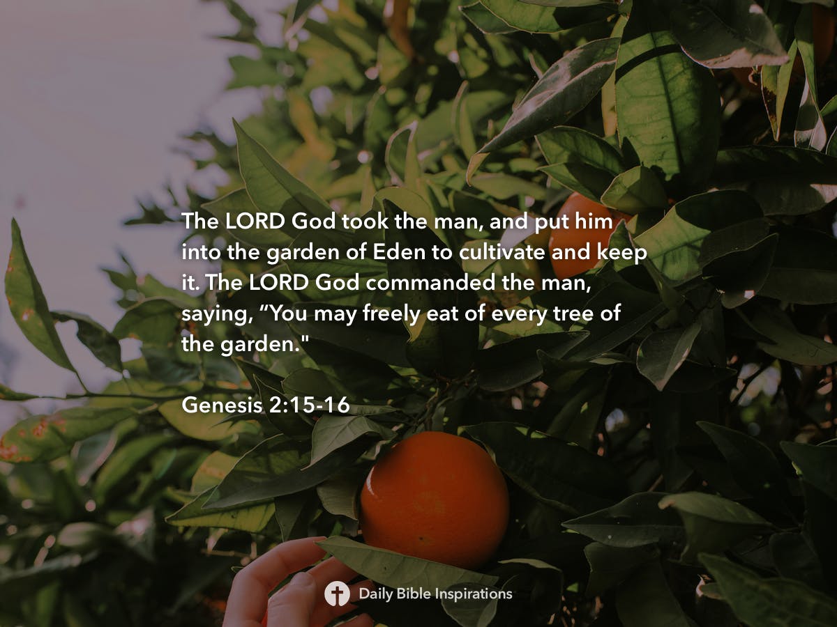 genesis-2-15-16-daily-bible-inspirations