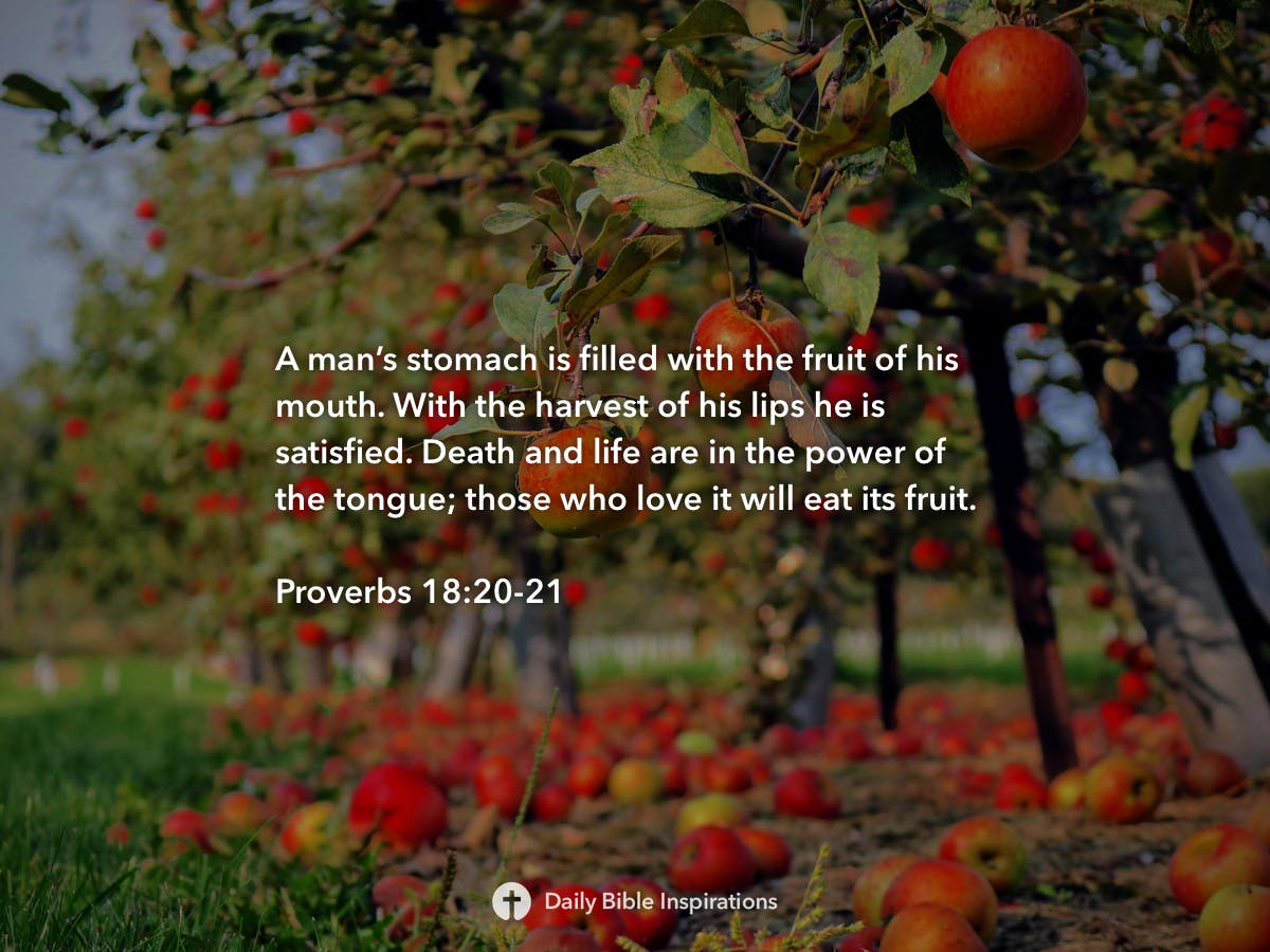 proverbs-18-20-21-daily-bible-inspirations