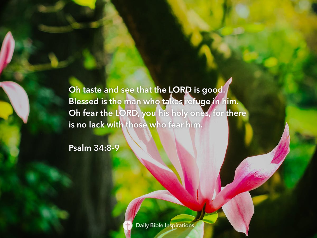 psalm-34-8-9-daily-bible-inspirations