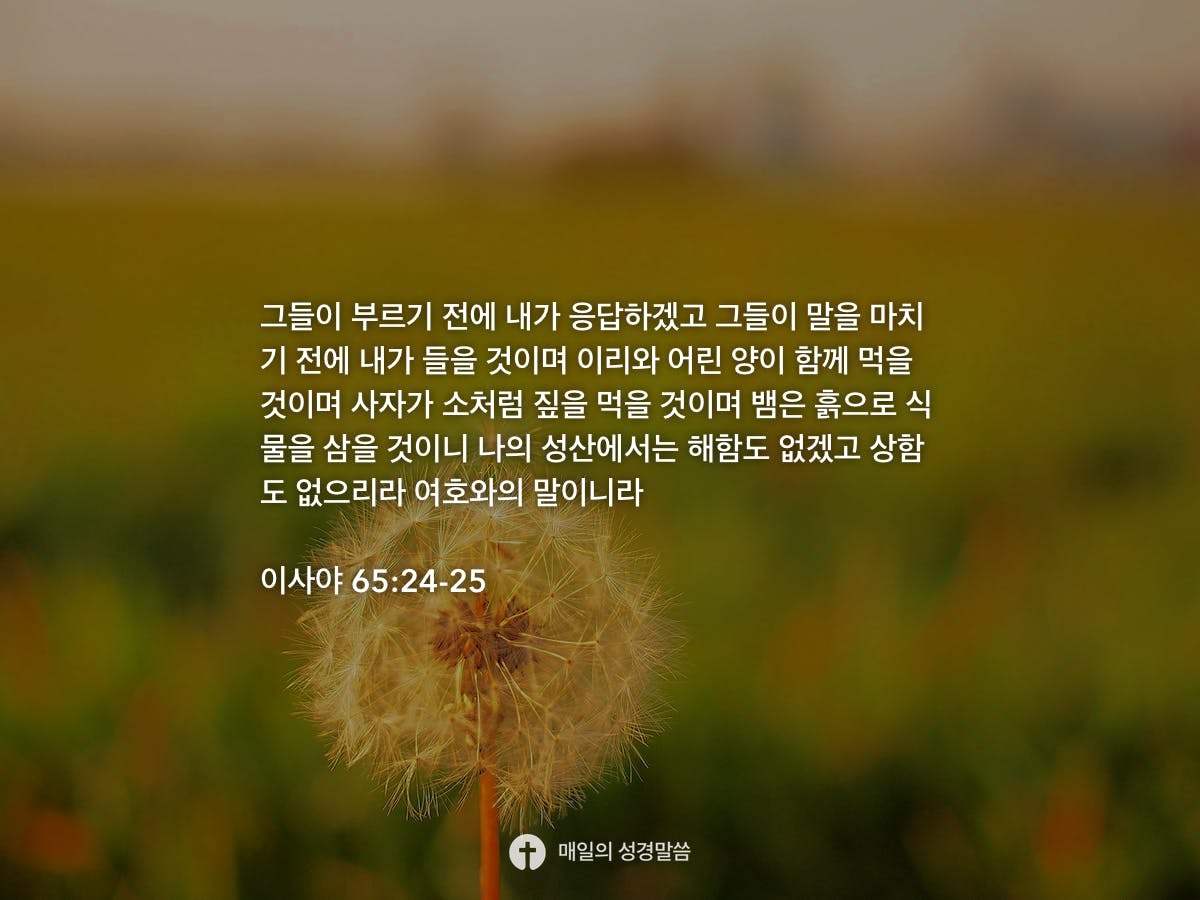 65-24-25-daily-bible-inspirations