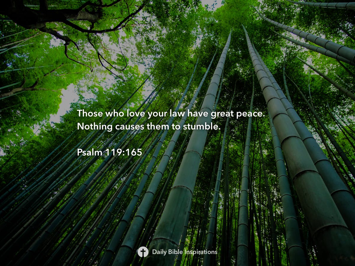 psalm-119-165-daily-bible-inspirations