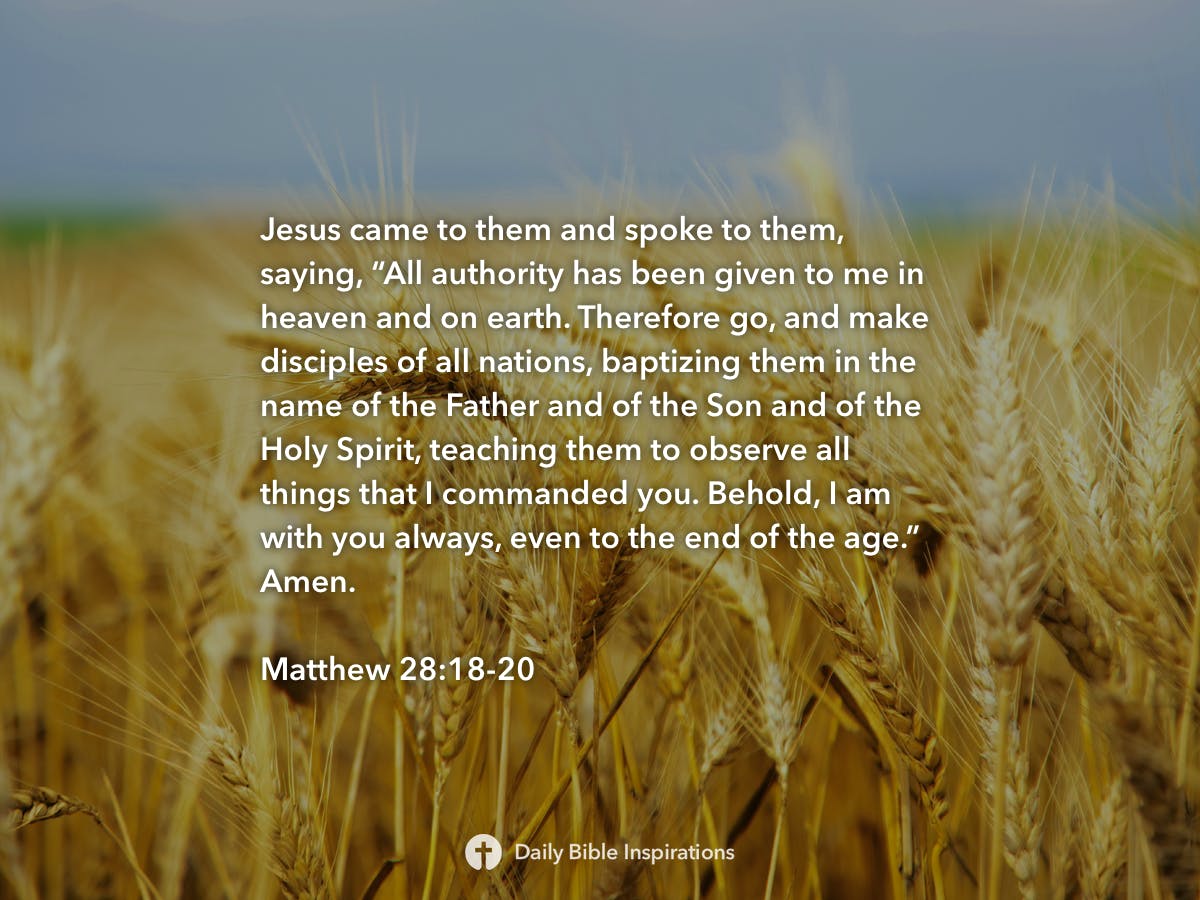 Matthew 28:18-20 | Daily Bible Inspirations