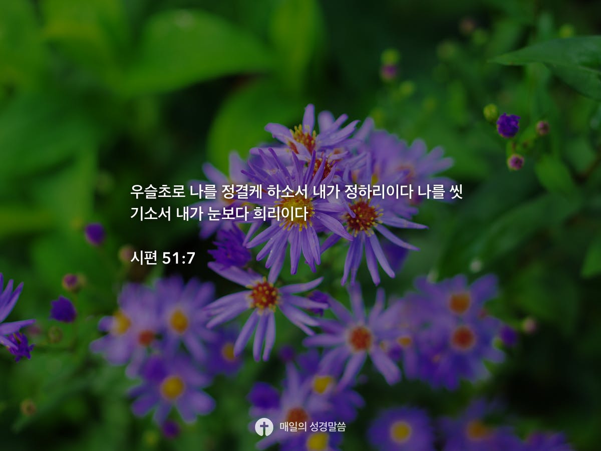 51-7-daily-bible-inspirations