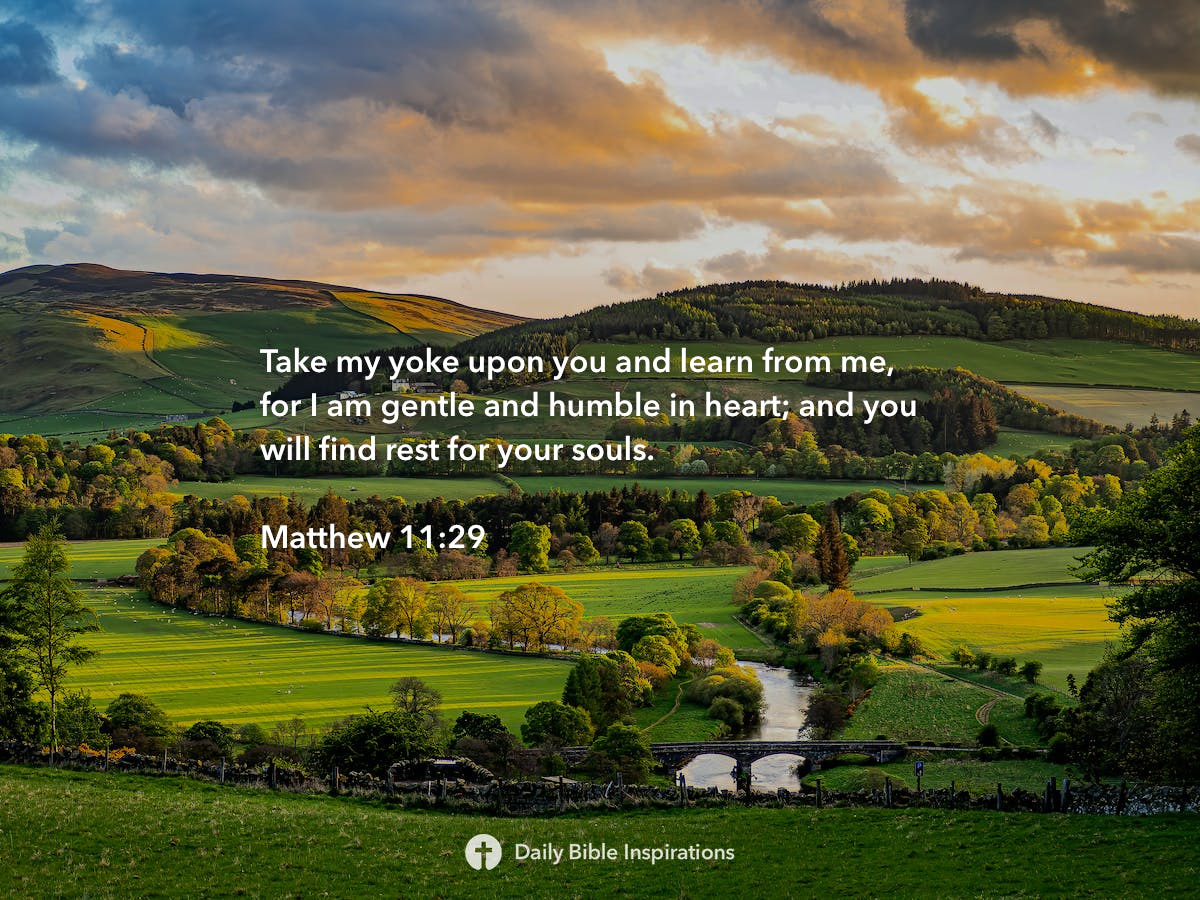matthew-11-29-daily-bible-inspirations