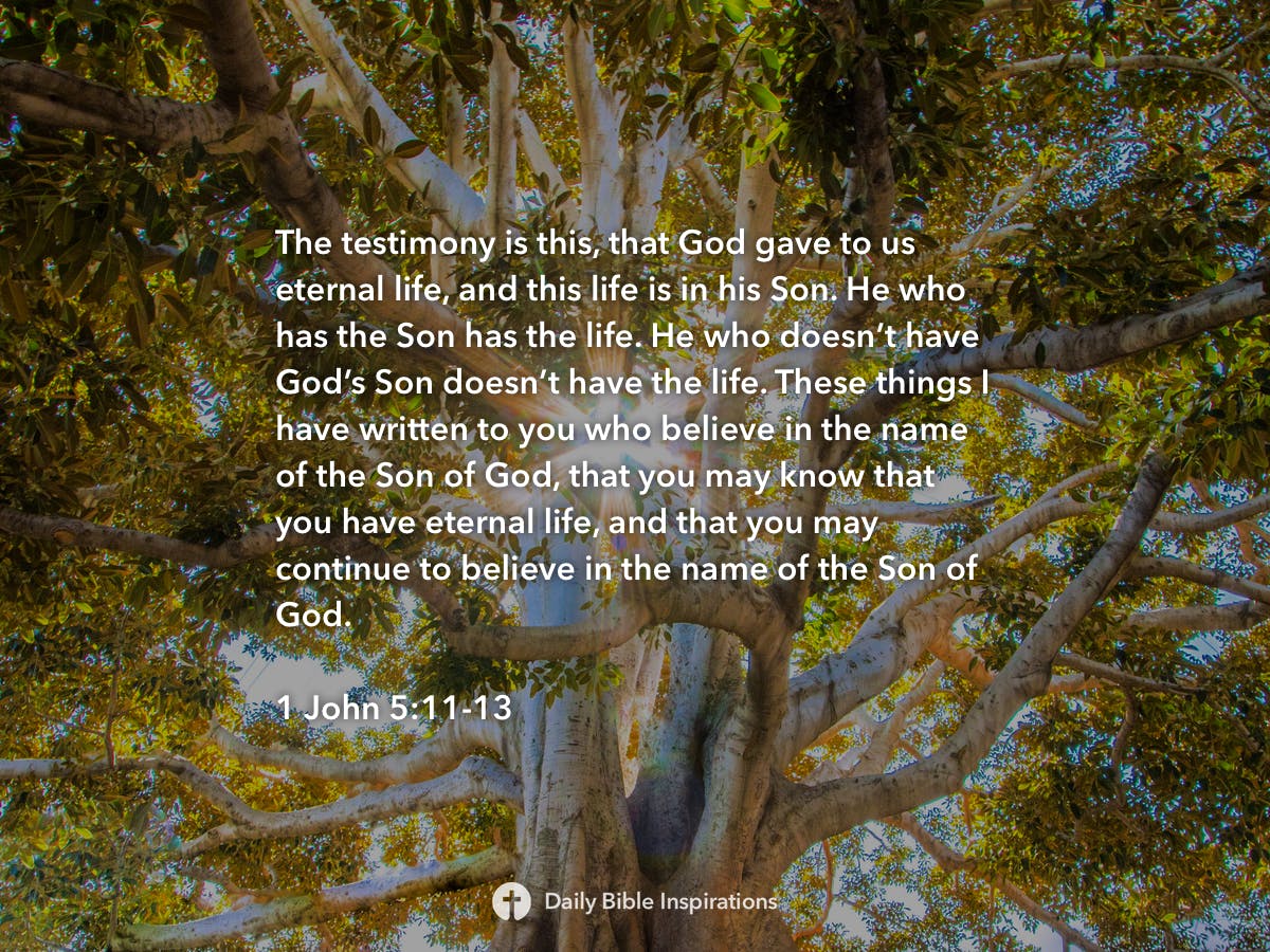 1 John 5 11 13 Daily Bible Inspirations